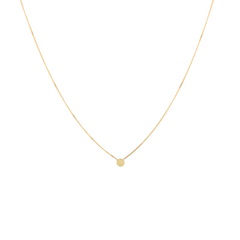 Coin Necklace 14K