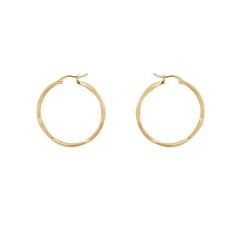 Dazzling Hoop Earrings