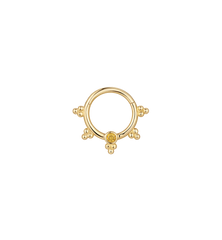 Laurel Wreath Daith Piercing 14K