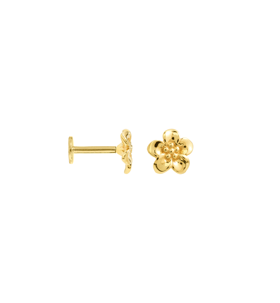 Flower Boy Piercing 14K