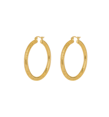 Large Spiral Hoop Earrings
