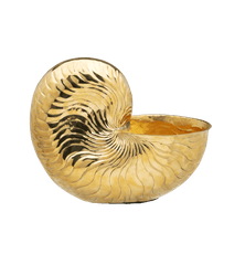 Soirée Champagne Cooler