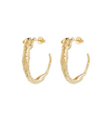 Big Wild Arc Hoop Earrings