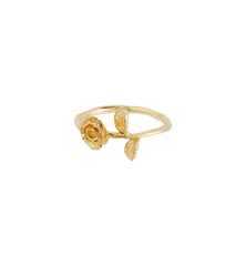 Honourable Rose Ring