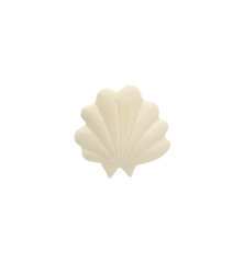 Shell Wall Decoration