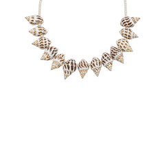 Tiger Shell Necklace