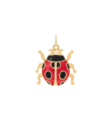 Ladybird Necklace Charm