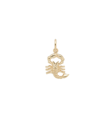 Zodiac Charm 14K