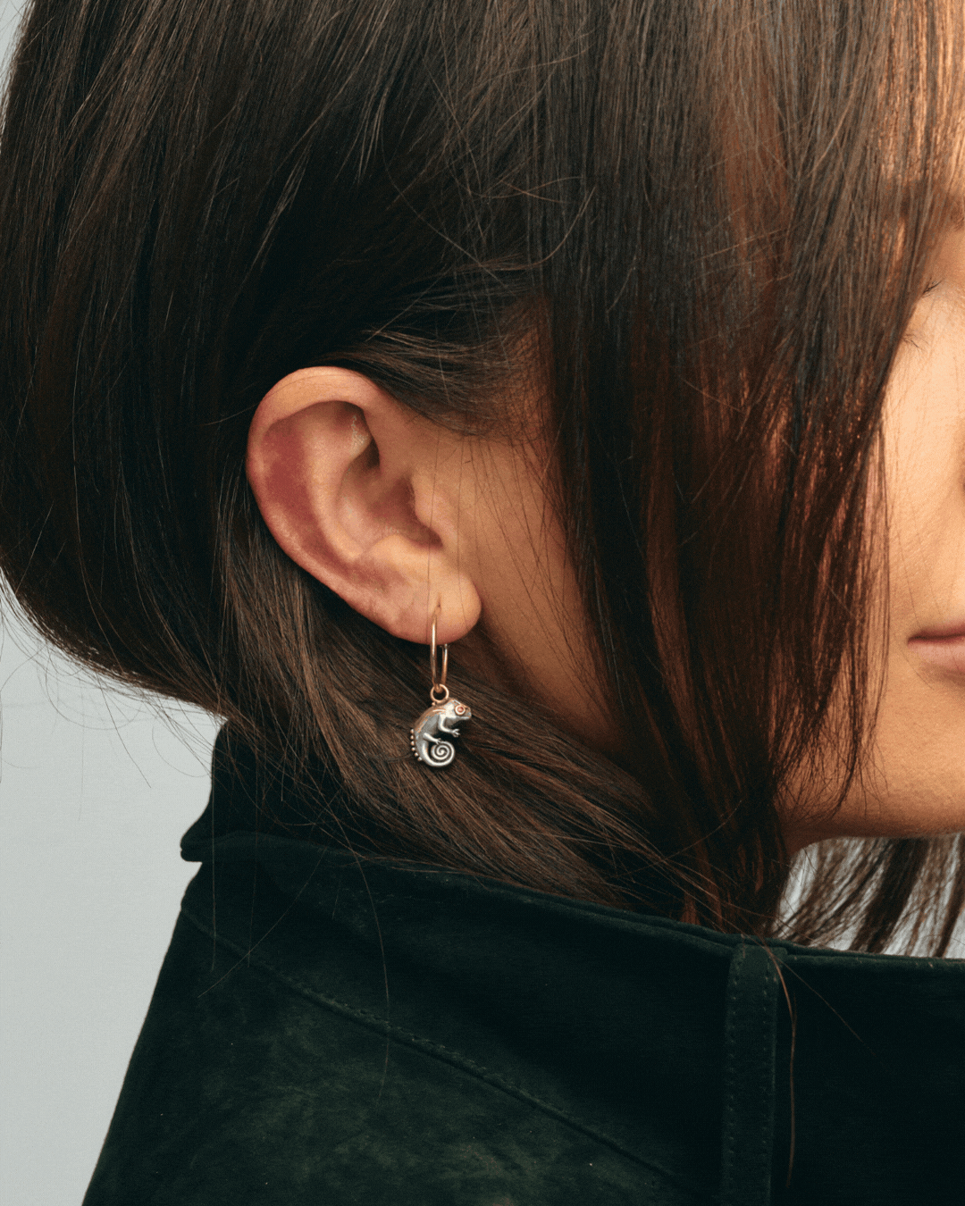 collection-showcase image