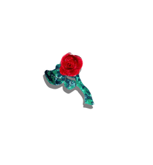 Solar Eclipse Rose Flower Hair Clip