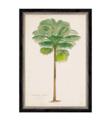 G&C Palm Painting
