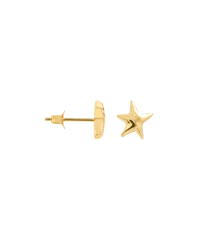 Single Mesmerising Star Stud Earring 14K