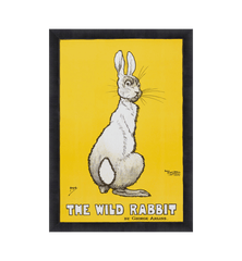 G&C Wild Rabbit Yellow Framed Artwork