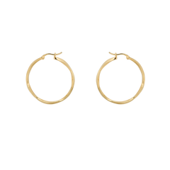 Dazzling Hoop Earrings Goldplated