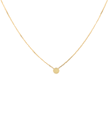 Coin Necklace 14K